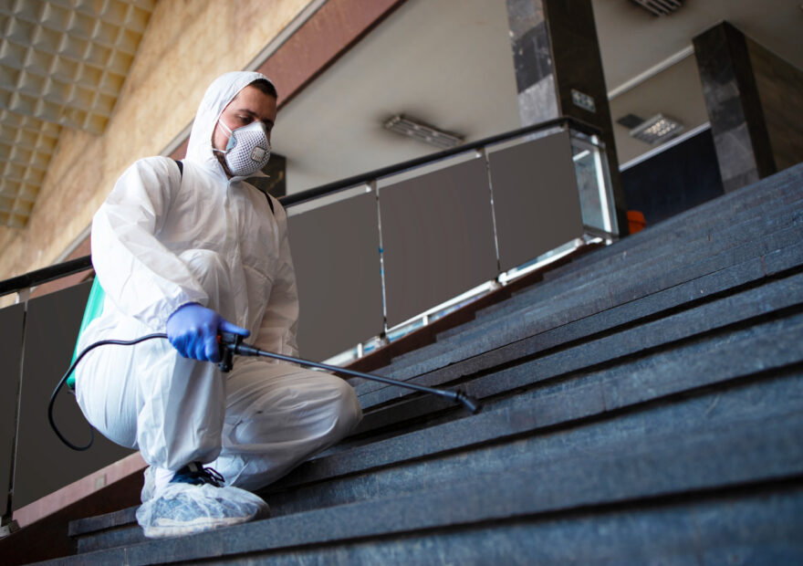 Mold remediation