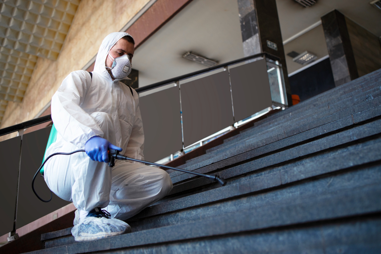 Mold remediation