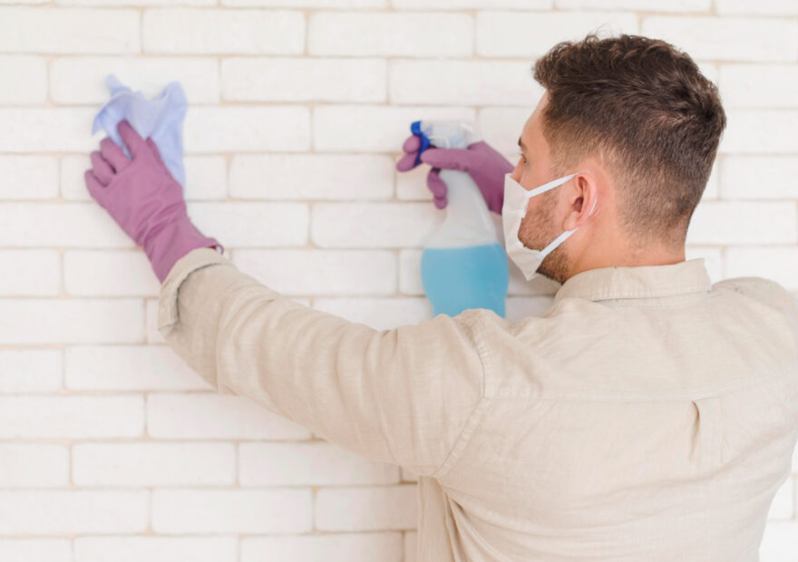 Mold Removal Dubai