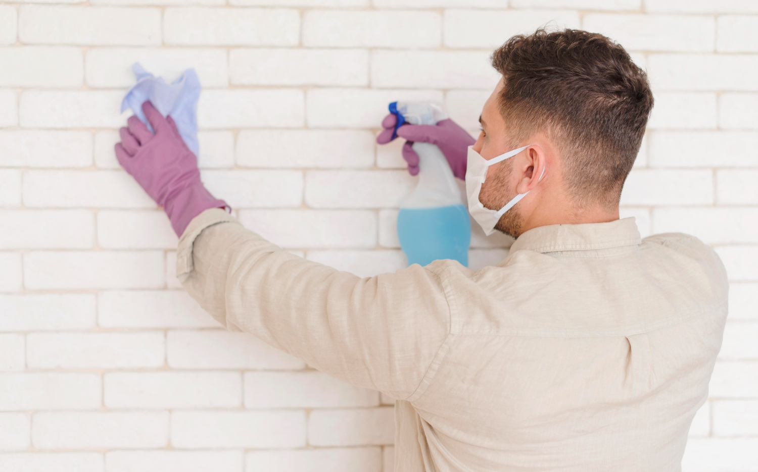 Mold Removal Dubai