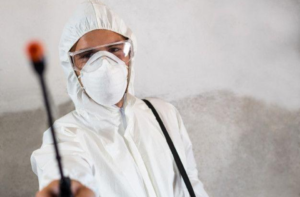 Everything you need to know about Mold Remediation in Dubai