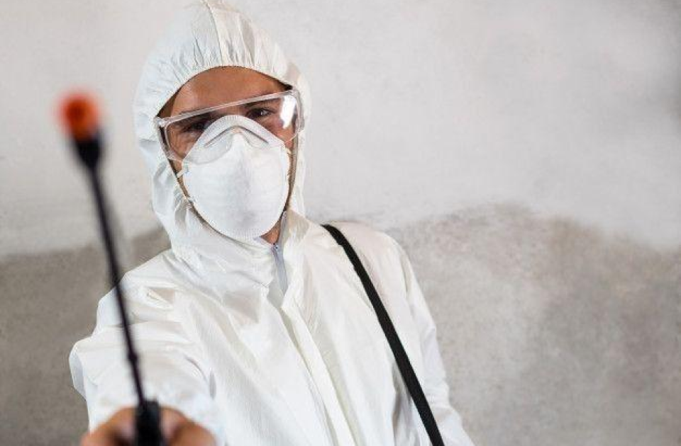 Everything you need to know about Mold Remediation in Dubai