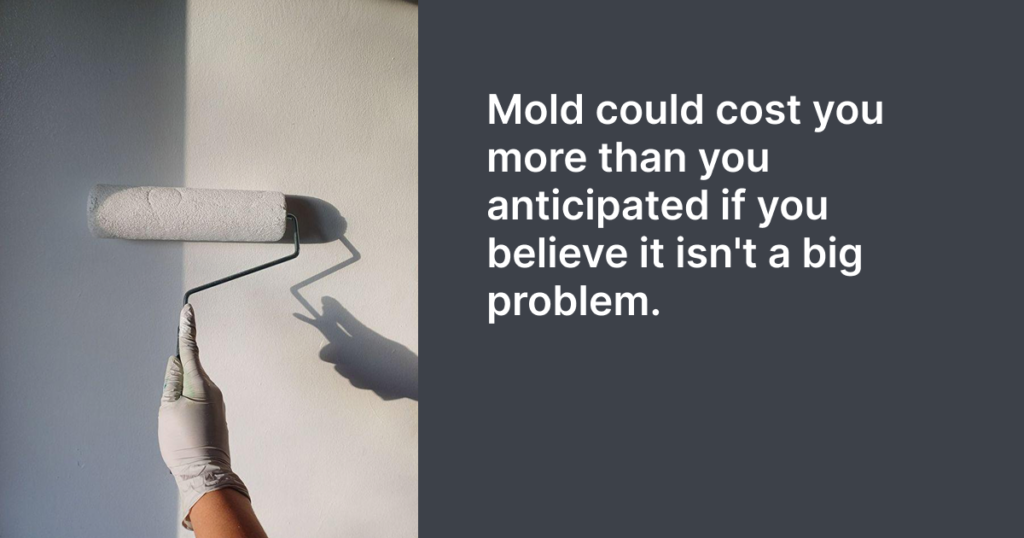 Mold could cost you more than you anticipated if you believe it isn't a big problem.